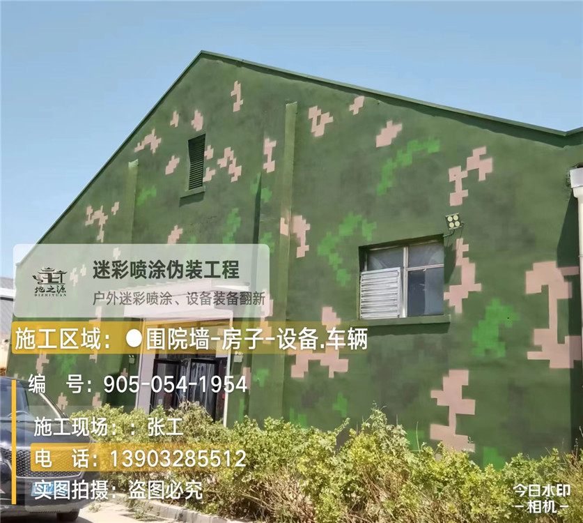 玉林外墙数码迷彩漆施工报价清单（100㎡标准墙面测算）